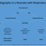 Algorithmic approach to chest radiographs in neonates with respiratory distress.