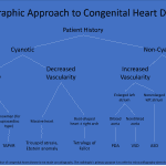 Algorithmic approach to congenital heart disease on radiographs.