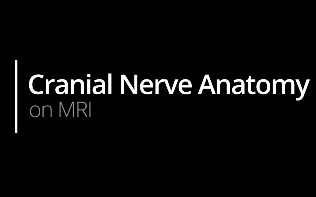 Cranial Nerve Anatomy on MRI